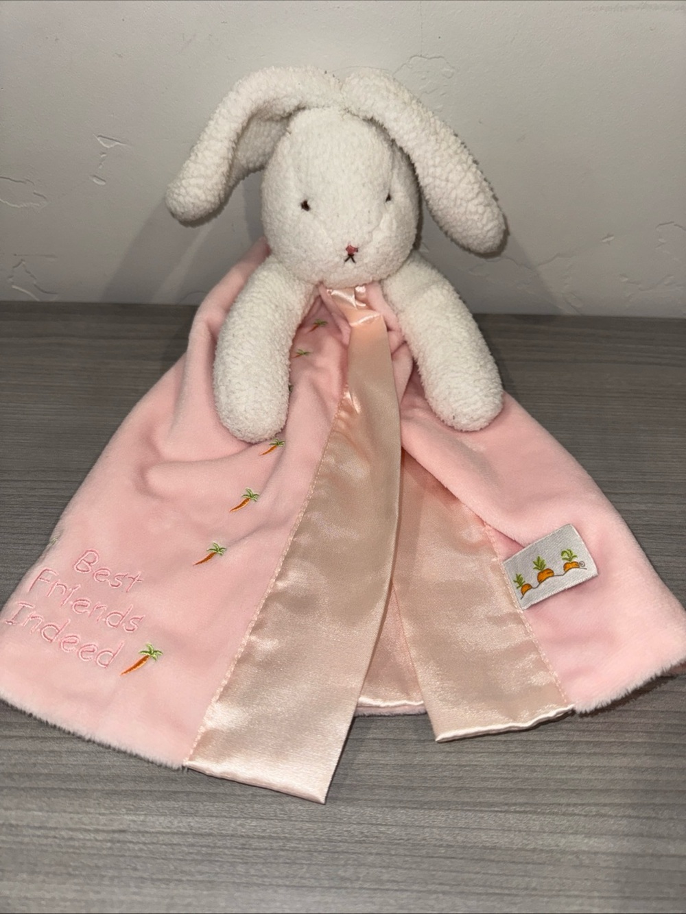 Lovey Bunnies by the Bay Bunny Rabbit Blanket Pink Best Friends Indeed 15" Satin